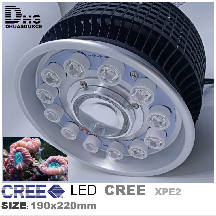 150WLED Aquarium Lighting Reef – Aquarium Fish Big Size Bewertung und Preis