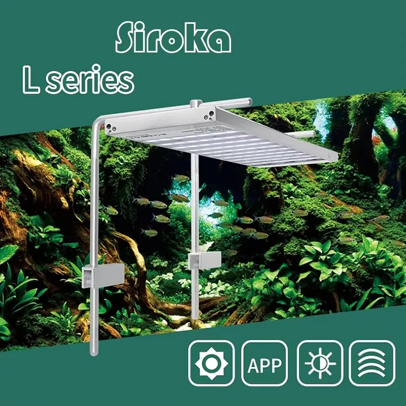 Hot Sale Silver 55W-110W Dimma – Aquarium Fish For Sale Bewertung und Preis