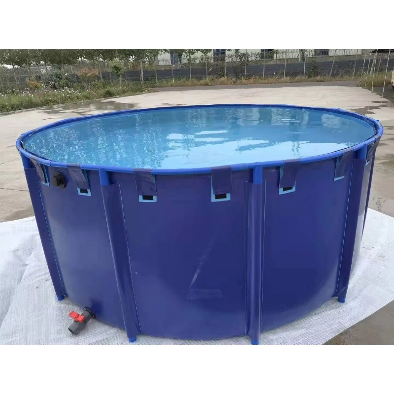 Wholesale Custom Outdoor Large – Aquarium Fish Big Size Bewertung und Preis