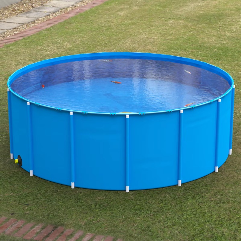 Wholesale Custom Outdoor Large – Aquarium Fish Big Size Bewertung und Preis