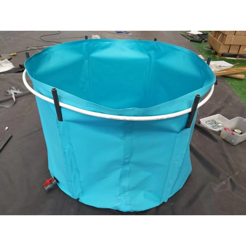 Wholesale Custom Outdoor Large – Aquarium Fish Big Size Bewertung und Preis