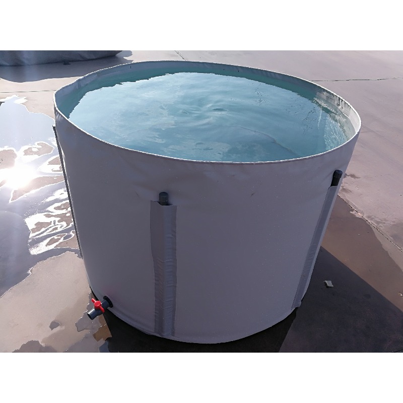 Wholesale Custom Outdoor Large – Aquarium Fish Big Size Bewertung und Preis