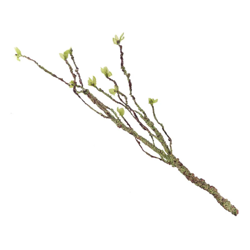 Vines Decor Climbing Branches  – Aquarium Fish For Sale Online Bewertung und Preis